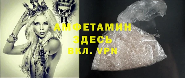 хмурый Абаза
