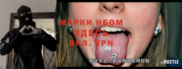 хмурый Абаза