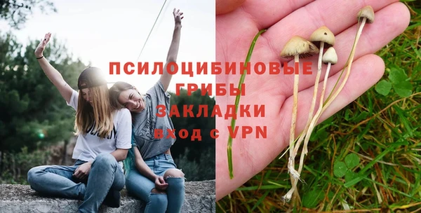 молекула духа Абинск