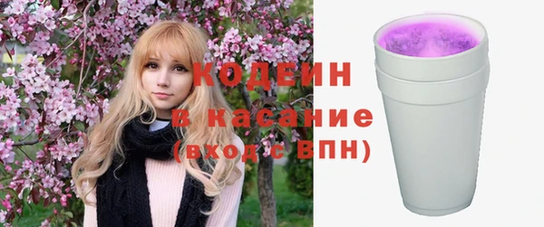 хмурый Абаза