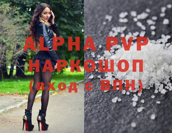 молекула духа Абинск