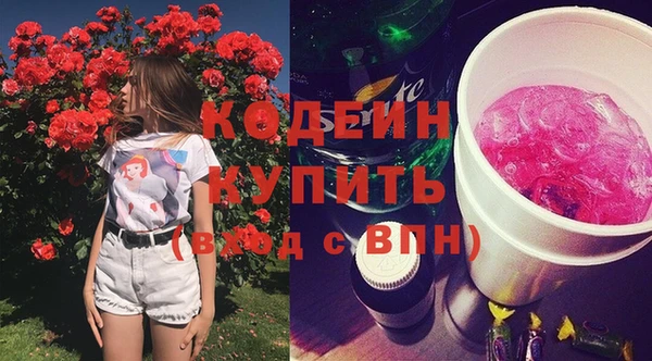 хмурый Абаза