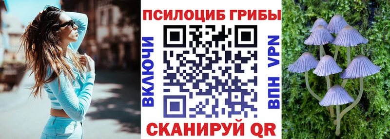 Псилоцибиновые грибы прущие грибы  ОМГ ОМГ сайт  Ялуторовск 