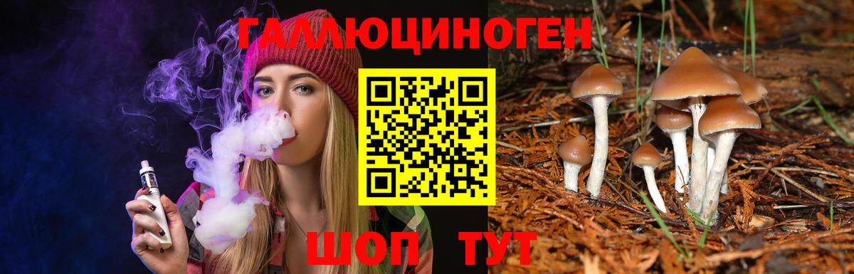 Галлюциногенные грибы GOLDEN TEACHER Ялуторовск